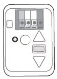 White learn button